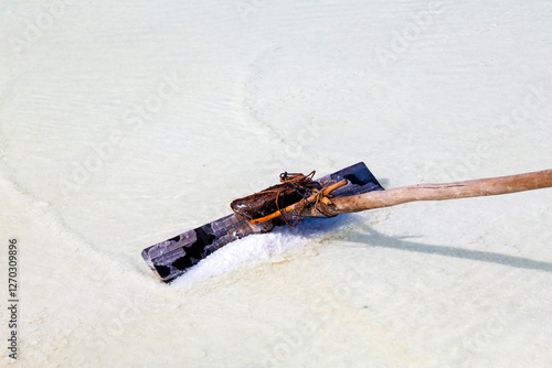 Obraz na płótnie Asia, South Asia, India. Great Rann of Kutch, salt marsh in Thar Desert. One of the largest salt deserts in the world. Harvesting salt. w salonie