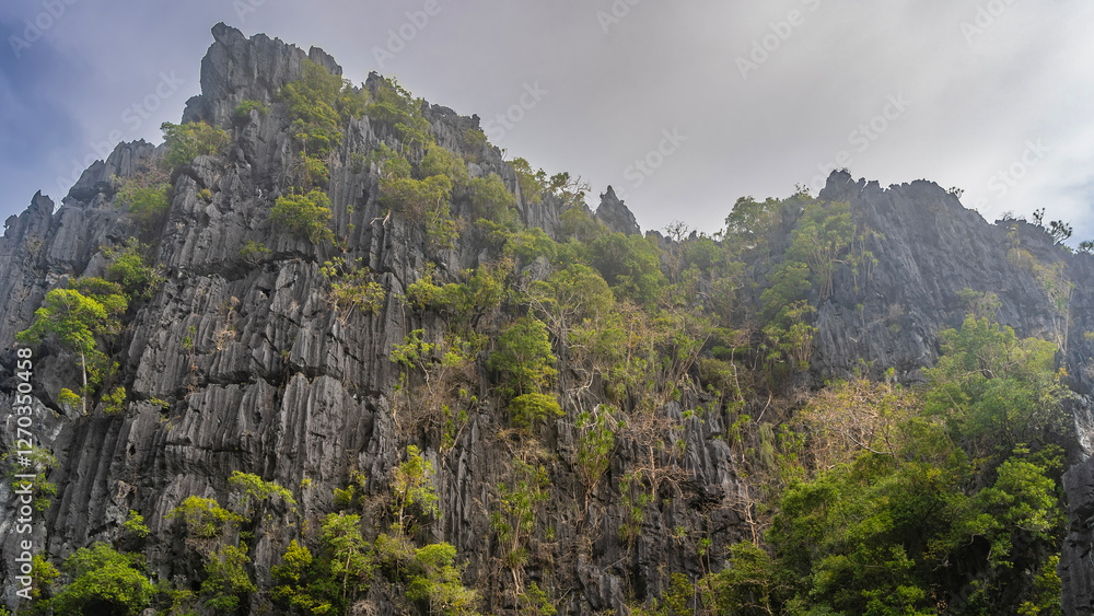 Sheer high karst cliffs against a background of blue sky and clouds. There is green tropical vegetation on the steep, furrowed slopes. Philippines. Palawan. Sheer high karst cliffs against a background of blue sky and clouds. There is green tropical vegetation on the steep, furrowed slopes. Philippines. Palawan.