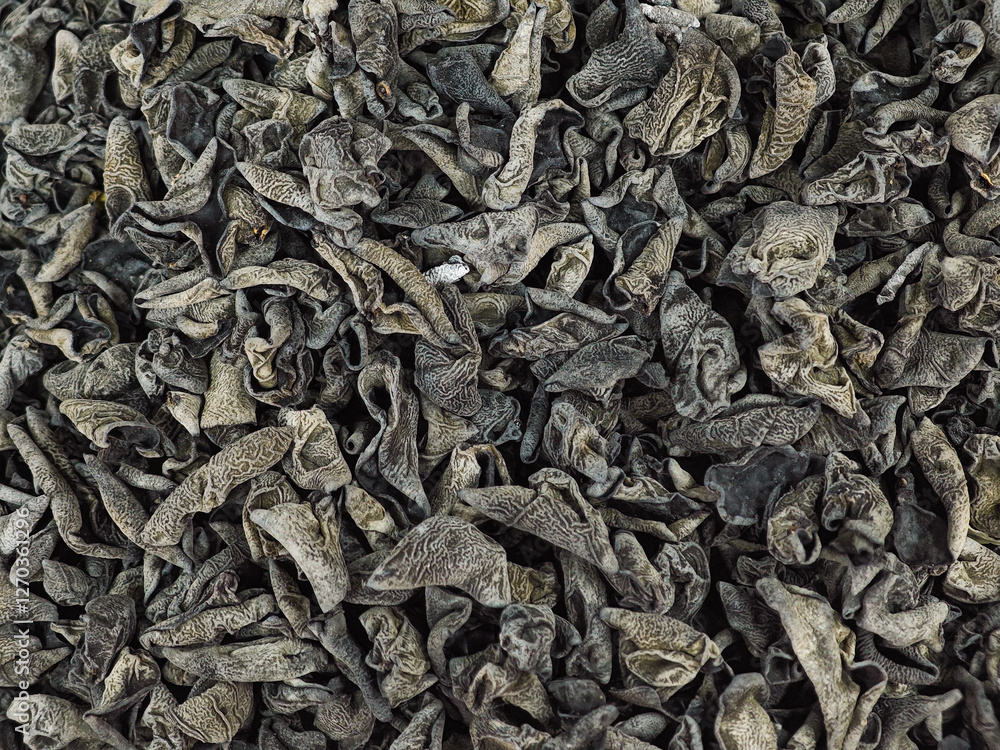 Dry black fungus texture background. Dry black fungus texture background.