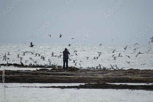 Bird watching at the beach