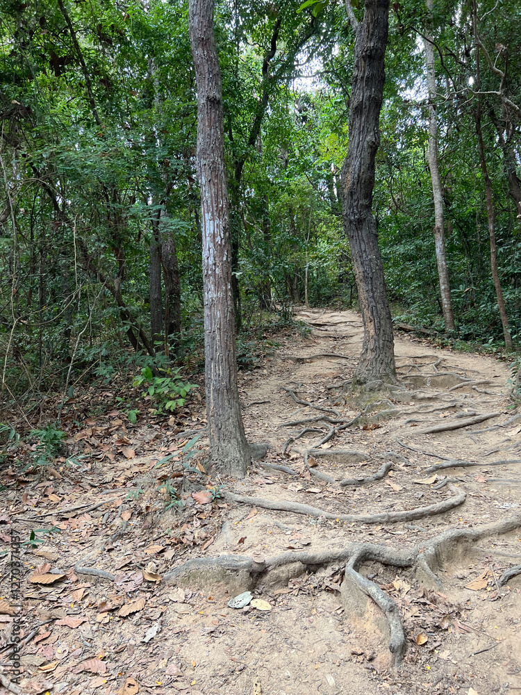 Hiking path towards Wat Pha Lat temple in Chang Mai