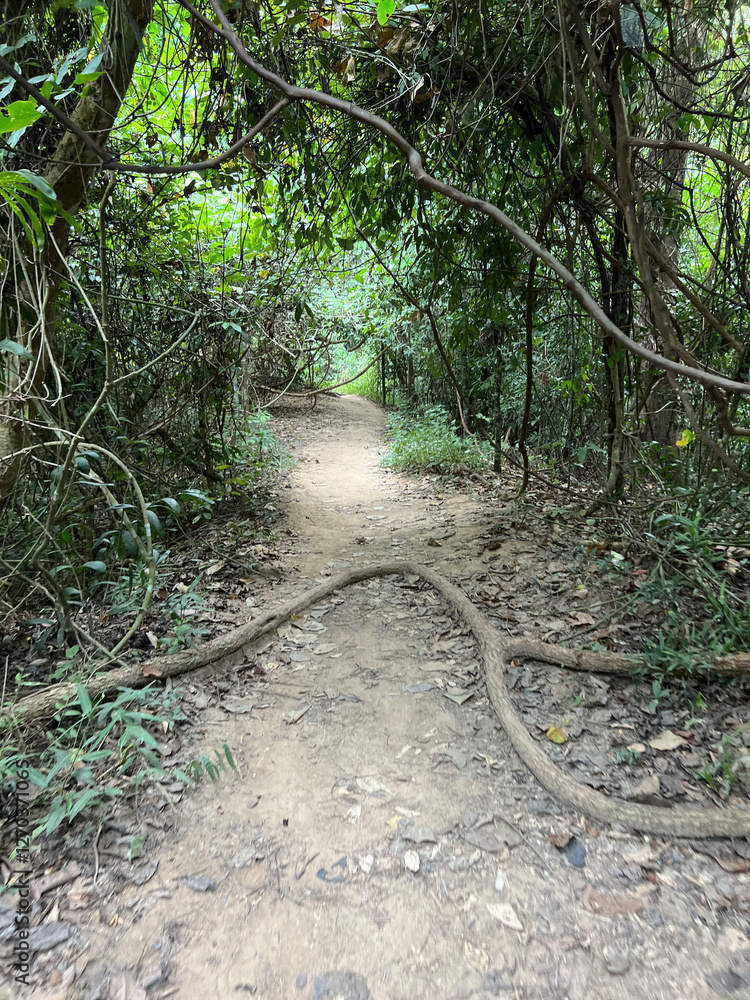 Hiking path towards Wat Pha Lat temple in Chang Mai