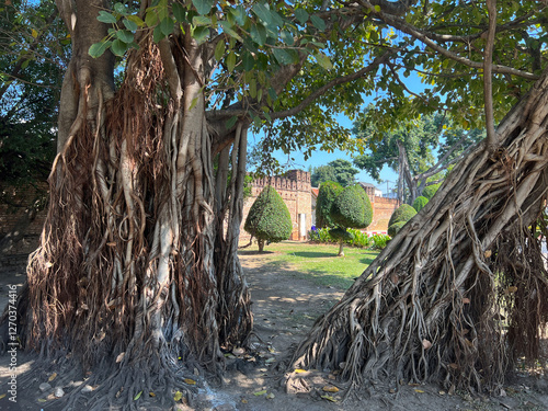 Obraz na płótnie Trees around the old city wall of Chiang Mai w salonie