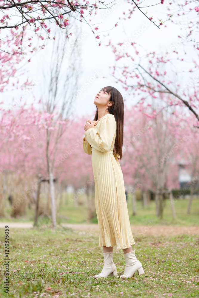 美しい日本女性