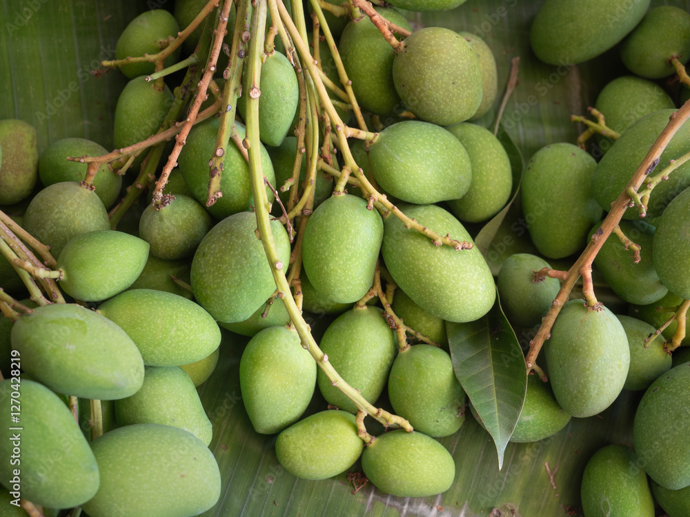 Close up top view green small mango for sell in the market.