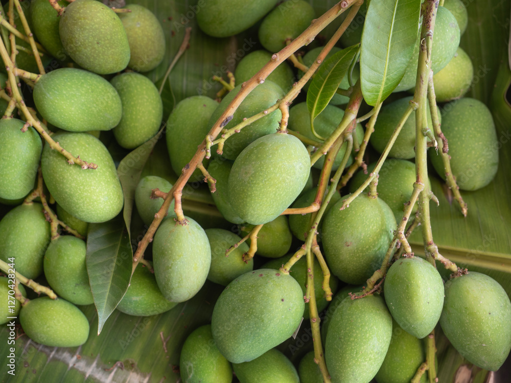 Close up top view green small mango for sell in the market.