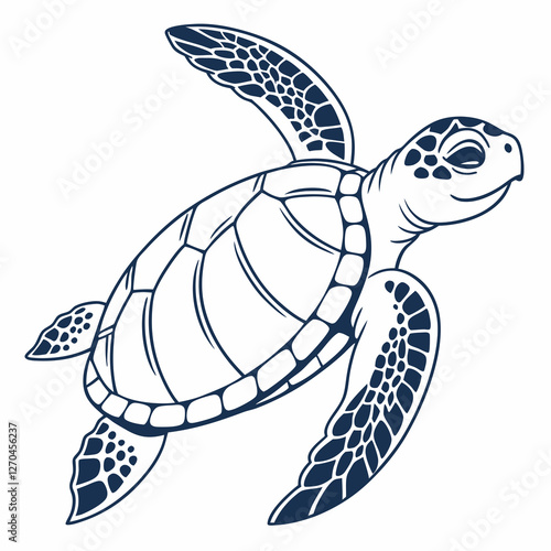 sea turtle