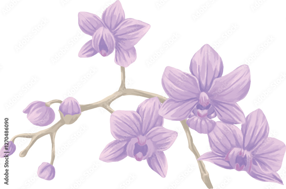 orchid Branch painting botanical illustration orchid Branch painting botanical illustration