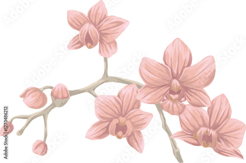 orchid Branch painting botanical illustration