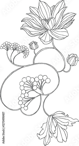 tulle lace flower design illustration