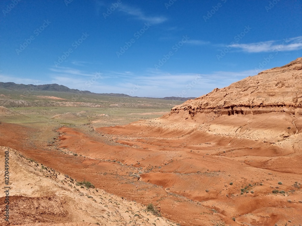 Fototapeta premium beautiful landscape in the desert