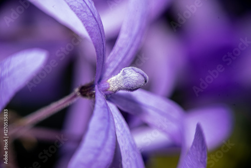 Wallpaper Mural close up of a flower Torontodigital.ca