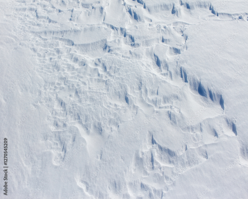The snow is white and the ground is covered in it The snow is white and the ground is covered in it
