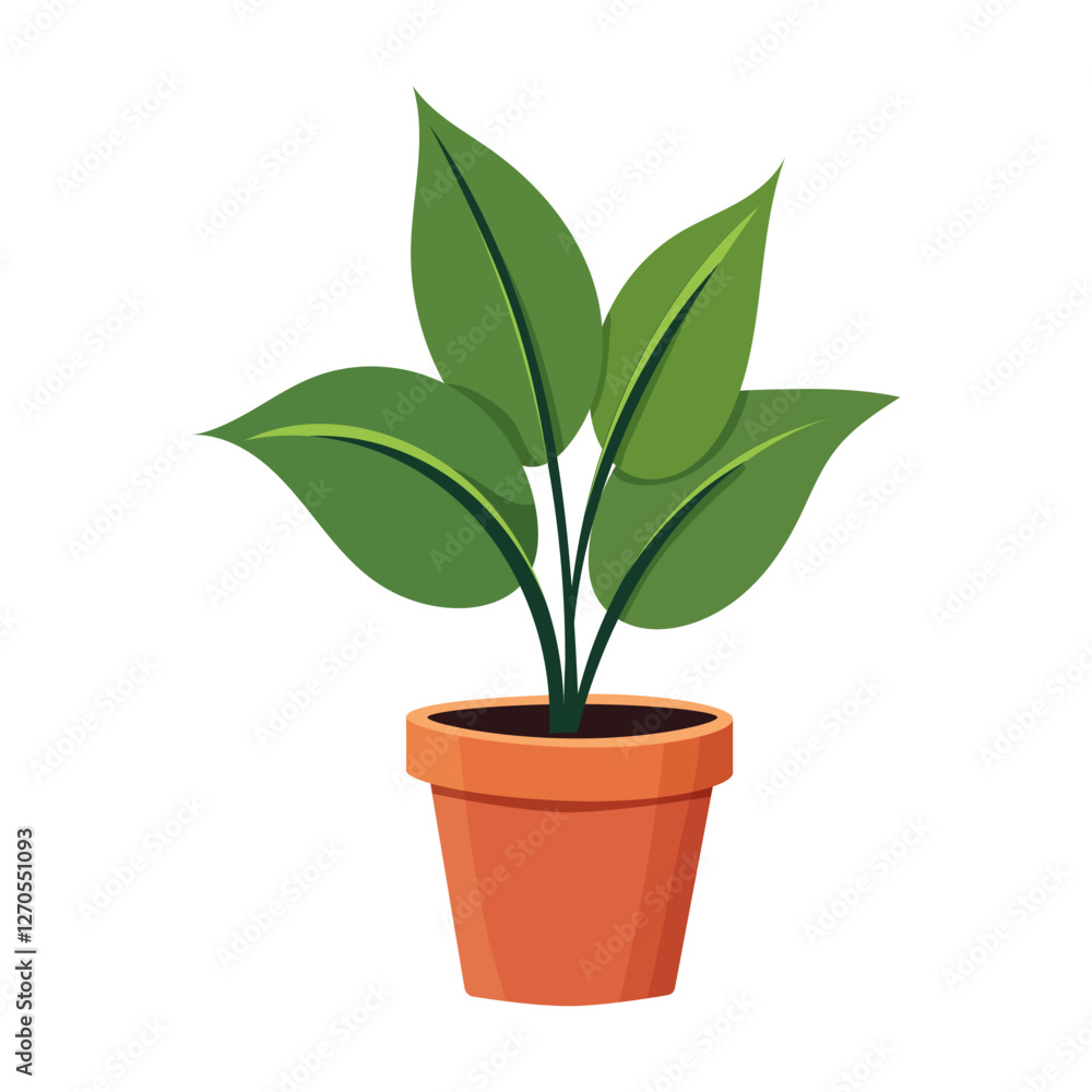 House plants in pots. Element for design house, room or office. Isolated element on white background. House plants in pots. Element for design house, room or office. Isolated element on white background.