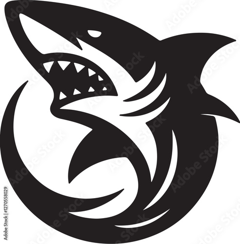 vector illustration of a shark