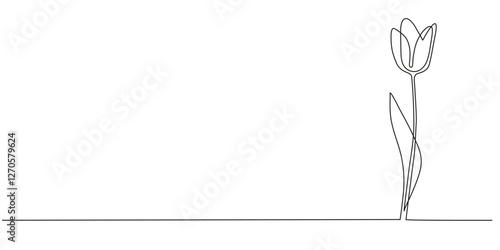 One line continuous tulip. Flowers concept banner in line art hand drawing style. Outline vector illustration.