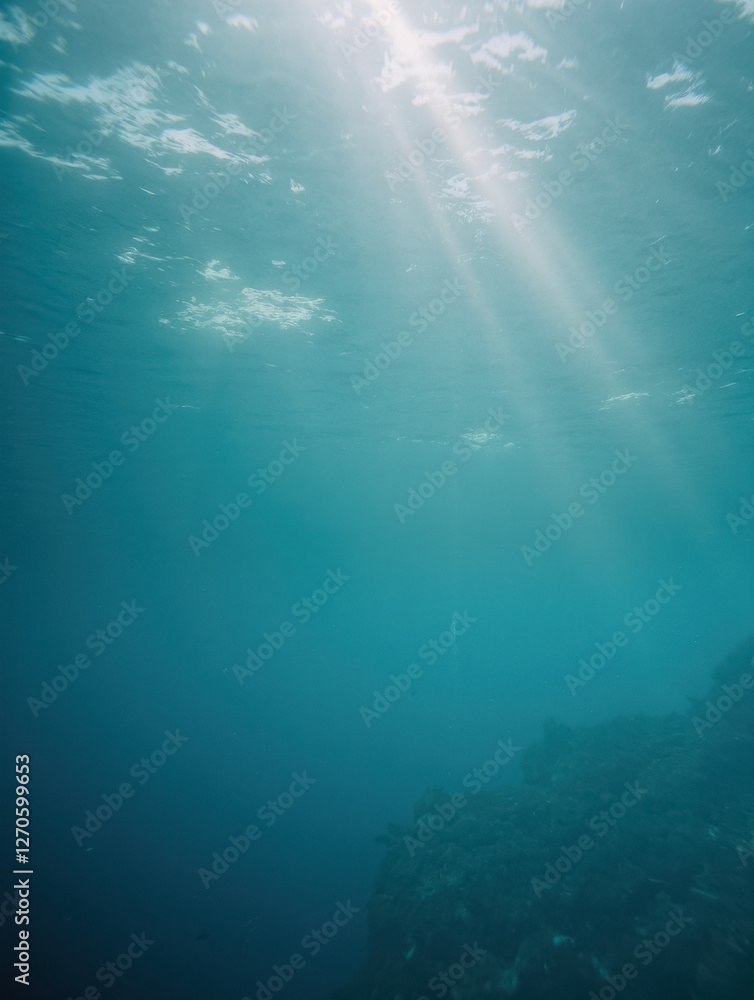 Fototapeta premium Sunlight streaming through tranquil underwater ocean scene