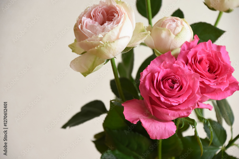 ピンクの花束 ピンクの花束
