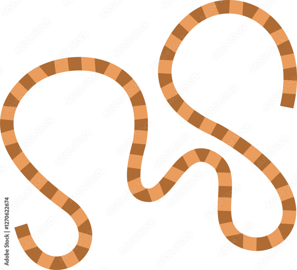 board game path board game path