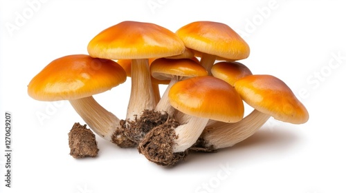 Bright and Fresh Cluster of Yellow Mushrooms on White Background. Generative AI