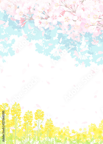 桜と春の空　菜の花畑