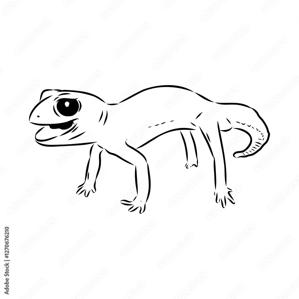Fototapeta premium gecko outline illustration on background, Australian