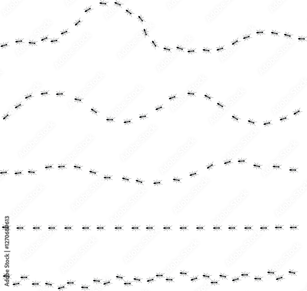Ants trail line of working ants on white background vector illustration. A line of worker ants marching in search of food. Worker incects marching in a line. Ants road vector illustration Ants trail line of working ants on white background vector illustration. A line of worker ants marching in search of food. Worker incects marching in a line. Ants road vector illustration