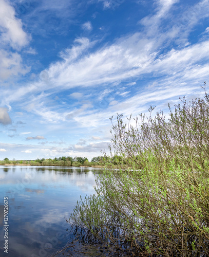 Calm lake with a few trees in the background