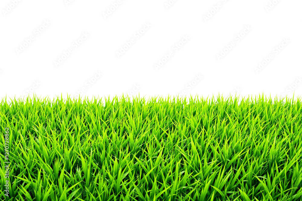 Fototapeta premium Fresh green grass blades isolated on a white background, creating a clean and natural look. Perfect for nature concepts, eco themes, and backgrounds. Ai generative
