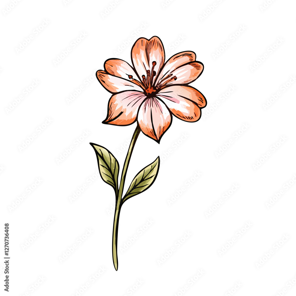 Obraz premium A Delicate Watercolor Style Illustration of a Single Peach Colored Flower with Green Leaves