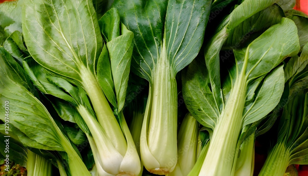 Close-up of fresh bok choy, highlighting its crisp stems and dark green leaves. Ideal for healthy food, salads, or vegetable concepts. Texture, background. Close-up of fresh bok choy, highlighting its crisp stems and dark green leaves. Ideal for healthy food, salads, or vegetable concepts. Texture, background.