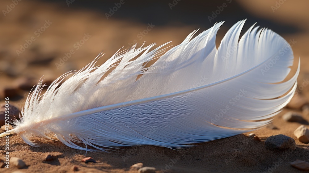 Serene White Feather on Sandy Ground: A Symbol of Peace and Tranquility Serene White Feather on Sandy Ground: A Symbol of Peace and Tranquility
