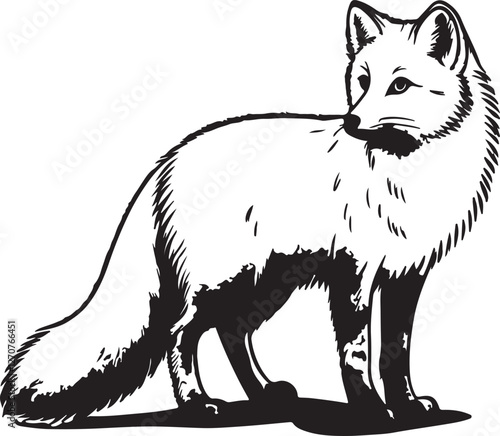 A Regal Fox Silhouette: A captivating silhouette of a fox, its sleek form and alert gaze capturing the animal's cunning spirit. Perfect for any design needing a touch of wild elegance.