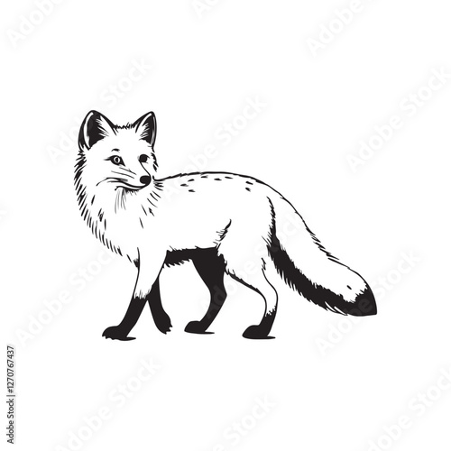 Sly Fox's Portrait: A sleek black and white drawing of a cunning fox with a long, bushy tail, embodying cleverness and wilderness.