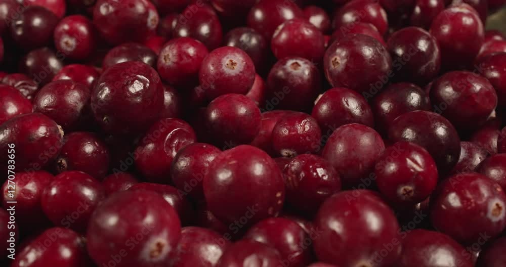 fresh cranberries closeup rotating selective focus 4k 30fps fresh cranberries closeup rotating selective focus 4k 30fps