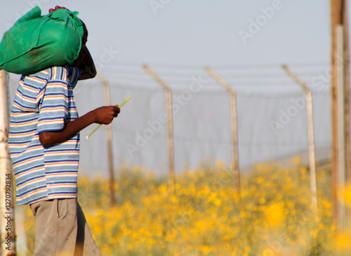 Boy eating sweet reed photo