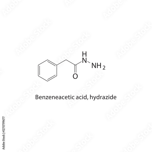 Benzeneacetic acid, hydrazide skeletal structure.Carboxylic Acid Derivative compound schematic illustration. Simple diagram, chemical formula.