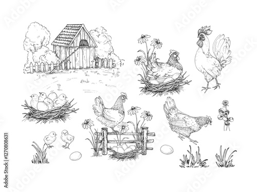 Chicken farm set of hand drawn ink vector illustrations. Chicken coop, hens, rooster, chicks, eggs, fence, flowers and herbs. For organic, fresh food label design