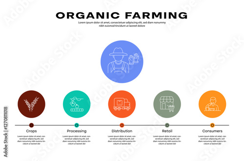 Vector art for organic farming ecosystem. Green process flow illustration from agricultural production to retail and consumption with editable stroke.