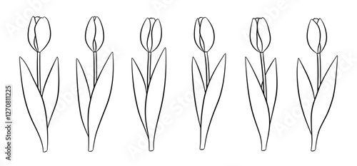 Black and white hand-drawn tulips