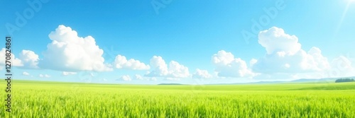 A serene landscape with fluffy white clouds and a bright blue sky, open field, white clouds, gentle breeze