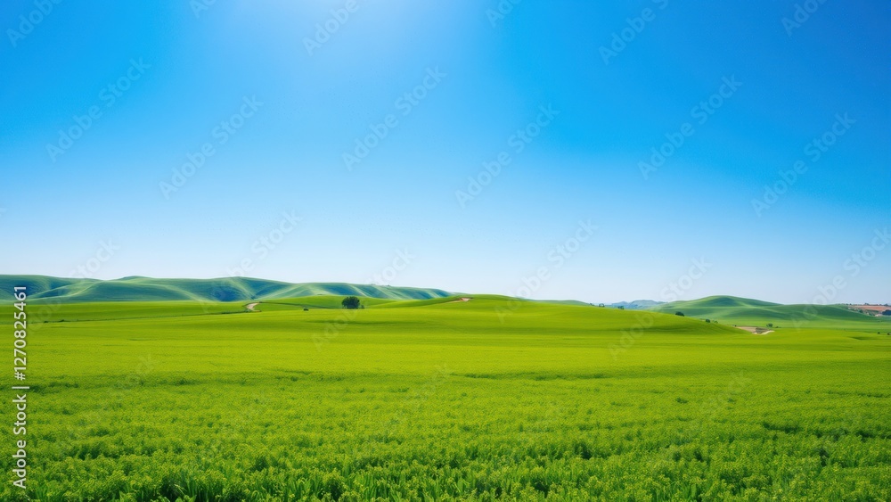 Lush Green Field, Rolling Hills, Blue Sky - Nature Photography: Th. Lush Green Field, Rolling Hills, Blue Sky - Nature Photography: Th.