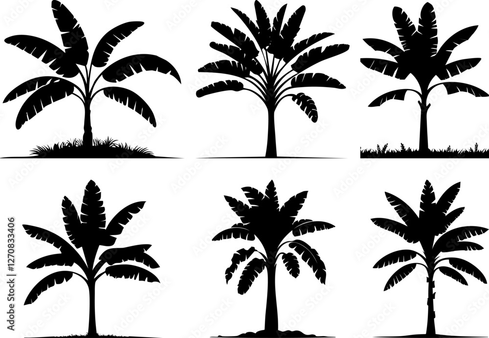 Fototapeta premium Banana Tree Silhouette for Nature and Agriculture Design