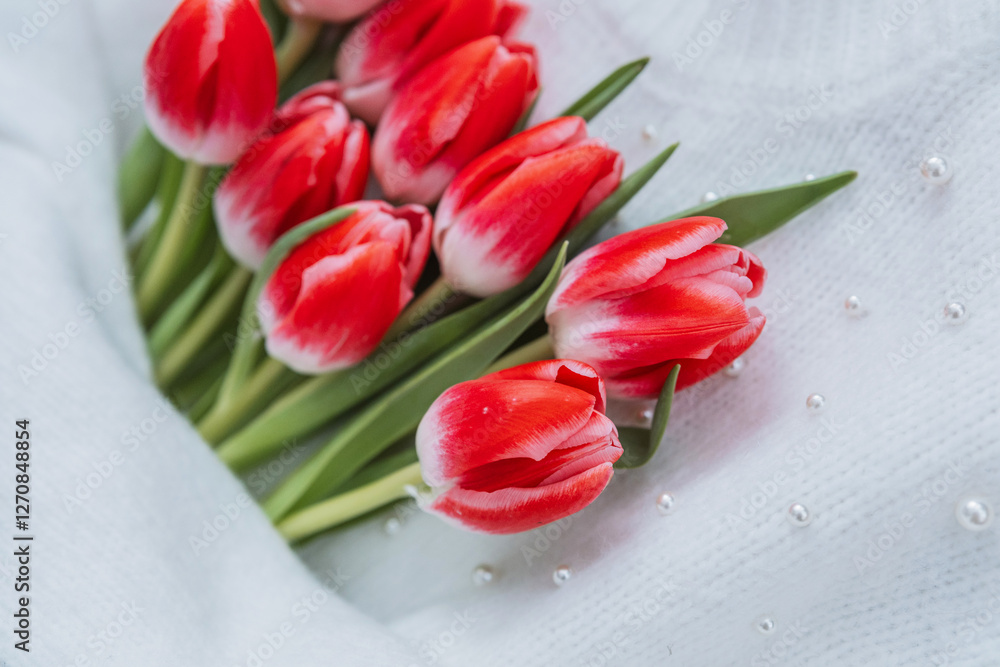 Vibrant red tulips arranged beautifully on soft white fabric Vibrant red tulips arranged beautifully on soft white fabric