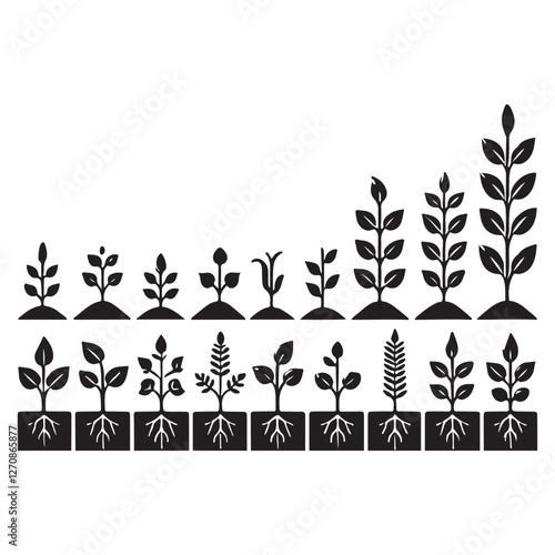 Sequential Plant Growth Stages Depicted in Detailed Silhouette Illustration