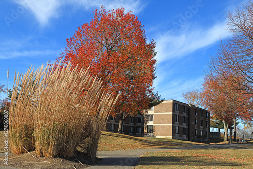 Beautiful autumn landscape in Stony Brook University on Long Island, NY