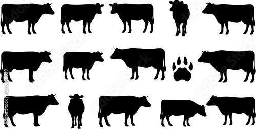 cow silhouette Vector set, cattle silhouettes, diverse breed of cows. Ideal for farm, ranch branding. Perfect for logos, decals. Black, white background. Bulls, cows, standing, walking, running