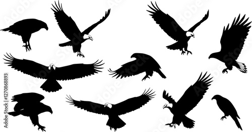 Eagle Vector Illustration Set, Black and White Silhouettes. Collection of 30 Different Eagle Poses, Perfect for Logos, Designs, and More.
