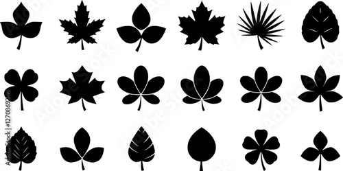 Leaf silhouettes, vector collection, diverse leaves shapes, nature elements. Ideal for eco friendly brand aesthetics, botanical illustrations, educational materials, artistic designs, decorations