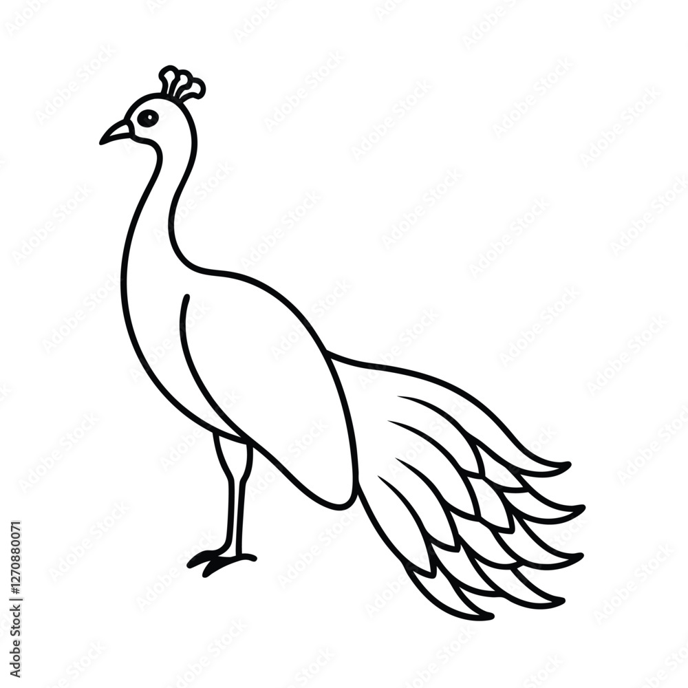 Fototapeta premium vector illustration of a bird